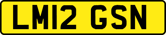 LM12GSN