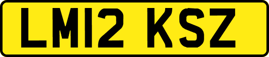 LM12KSZ
