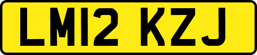 LM12KZJ