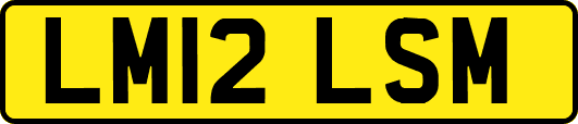LM12LSM