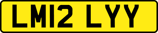 LM12LYY