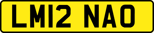 LM12NAO