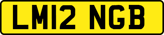 LM12NGB