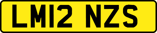 LM12NZS