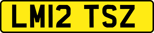 LM12TSZ
