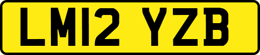 LM12YZB