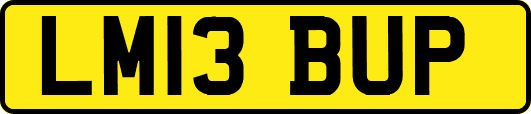 LM13BUP