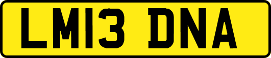 LM13DNA