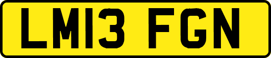 LM13FGN
