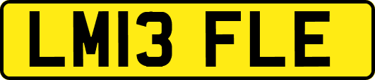 LM13FLE