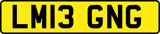 LM13GNG