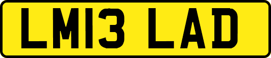LM13LAD
