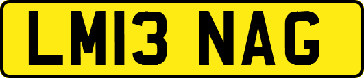 LM13NAG