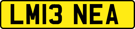 LM13NEA