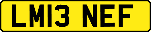 LM13NEF