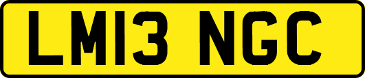 LM13NGC