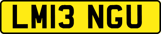 LM13NGU