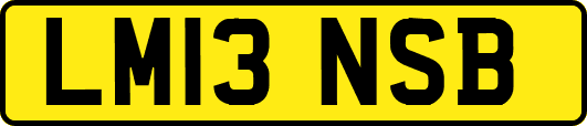 LM13NSB