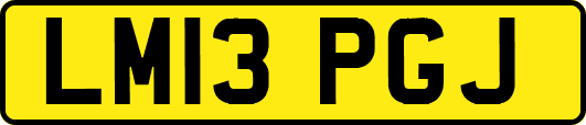 LM13PGJ