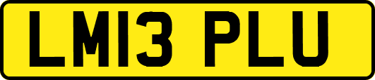 LM13PLU