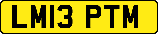 LM13PTM
