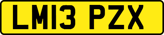 LM13PZX