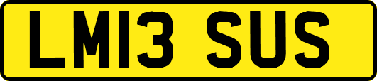 LM13SUS