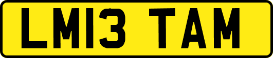 LM13TAM