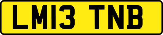 LM13TNB