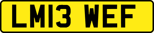 LM13WEF