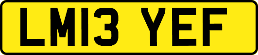 LM13YEF