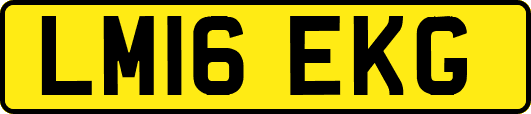 LM16EKG