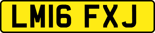 LM16FXJ
