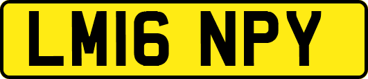 LM16NPY