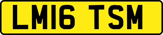 LM16TSM