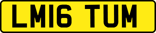 LM16TUM
