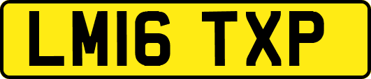 LM16TXP