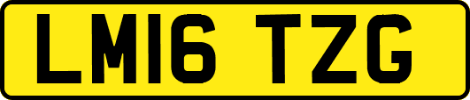 LM16TZG
