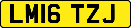 LM16TZJ
