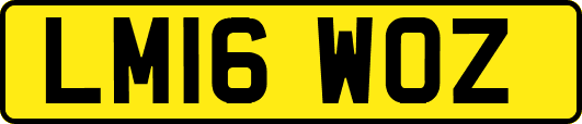 LM16WOZ
