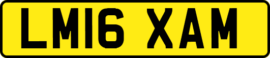 LM16XAM
