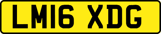 LM16XDG