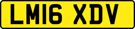 LM16XDV