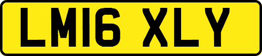 LM16XLY