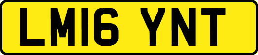 LM16YNT