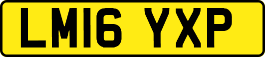 LM16YXP