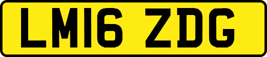 LM16ZDG