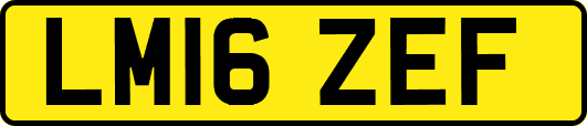 LM16ZEF