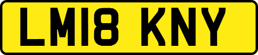 LM18KNY