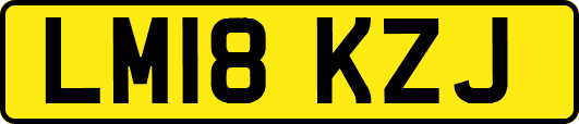 LM18KZJ